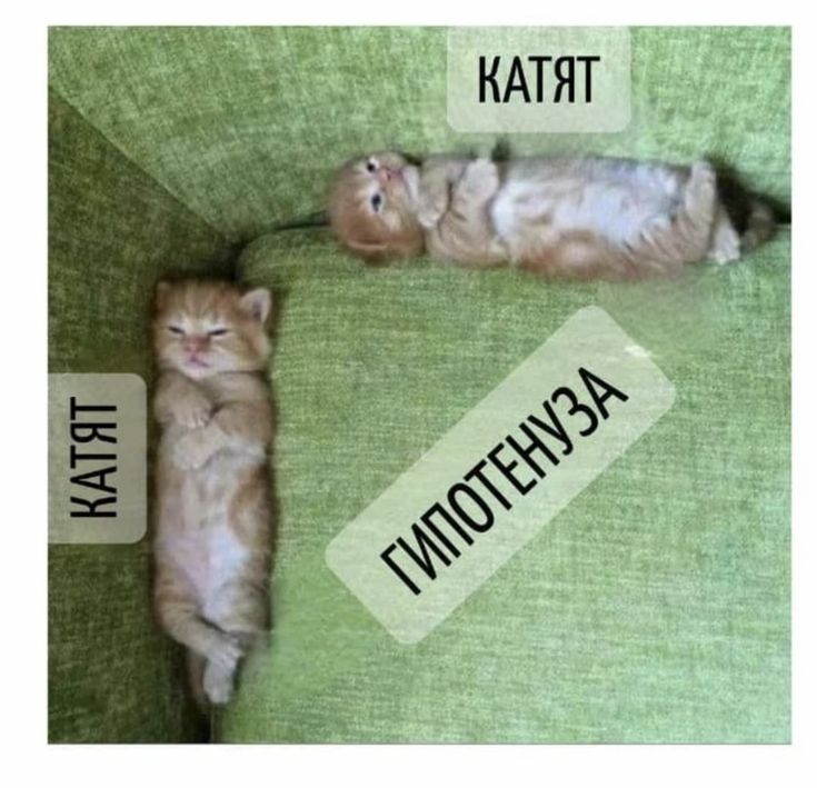 Мем за ошибку